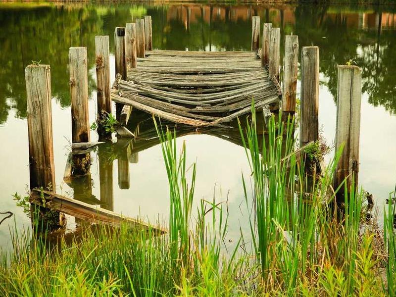 Edge AI and IoT Integration